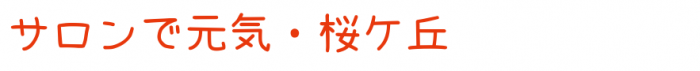 salon_logo_setofont_4